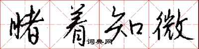 钱沛云睹着知微行书怎么写