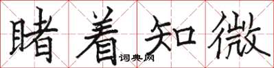 骆恒光睹着知微楷书怎么写