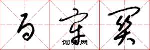 梁锦英百牢关草书怎么写