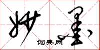 梁锦英妙墨草书怎么写