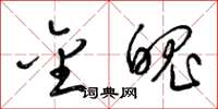 梁锦英金魄草书怎么写