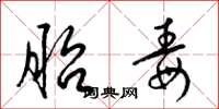 梁锦英胎毒草书怎么写
