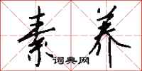 钱沛云素养行书怎么写