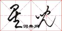 骆恒光星儿草书怎么写