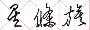 骆恒光星条旗草书怎么写