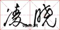 骆恒光凌晓草书怎么写