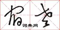 骆恒光宿老草书怎么写