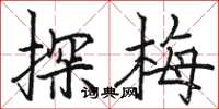 骆恒光探梅楷书怎么写