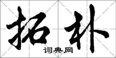 胡问遂拓朴行书怎么写