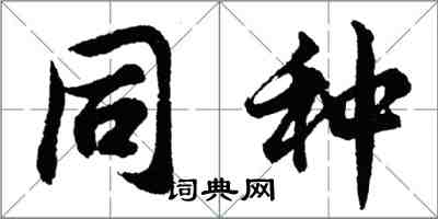 胡问遂同种行书怎么写