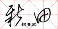骆恒光新田草书怎么写