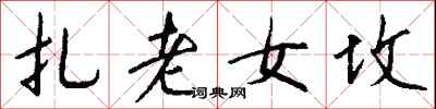 钱沛云扎老女坟行书怎么写