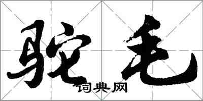 胡问遂驼毛行书怎么写