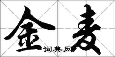 胡问遂金麦行书怎么写