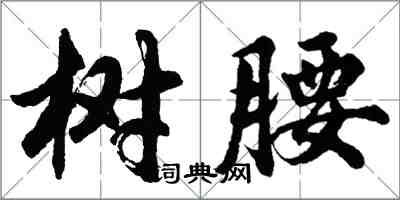 胡问遂树腰行书怎么写