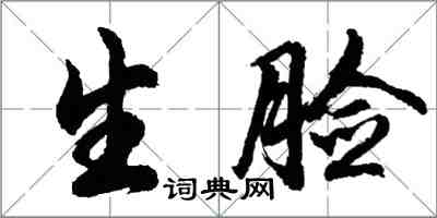 胡问遂生脸行书怎么写