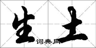 胡问遂生土行书怎么写