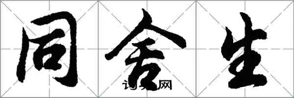 胡问遂同舍生行书怎么写