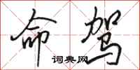 骆恒光命驾行书怎么写