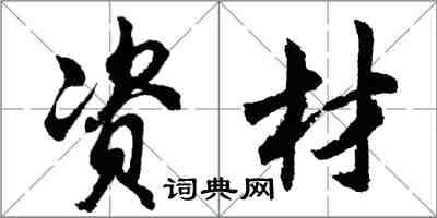 胡问遂资材行书怎么写