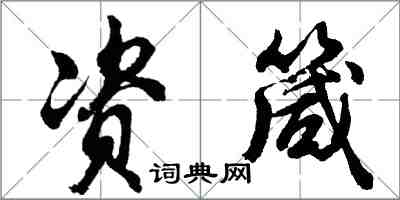 胡问遂资箴行书怎么写