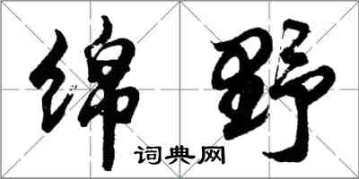 胡问遂绵野行书怎么写