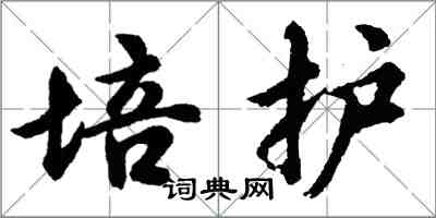 胡问遂培护行书怎么写