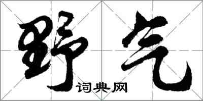 胡问遂野气行书怎么写