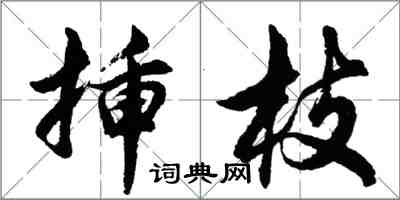 胡问遂插枝行书怎么写