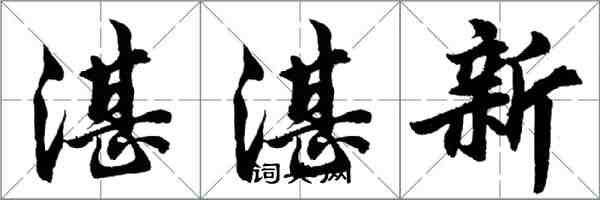 胡问遂湛湛新行书怎么写