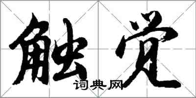胡问遂触觉行书怎么写