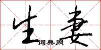 钱沛云生妻行书怎么写