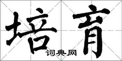 翁闿运培育楷书怎么写