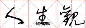 王冬龄人生观草书怎么写
