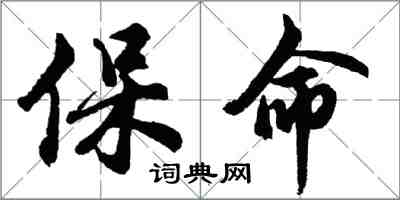 胡问遂保命行书怎么写
