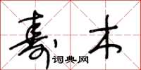 王冬龄寿木草书怎么写
