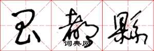 王冬龄昌都县草书怎么写