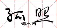 王冬龄孤照草书怎么写