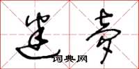 王冬龄迷梦草书怎么写