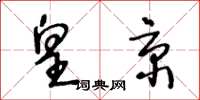 王冬龄皇京草书怎么写