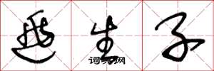 王冬龄逃生子草书怎么写