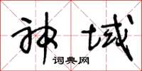 王冬龄神域草书怎么写