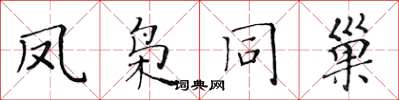 黄华生凤枭同巢楷书怎么写