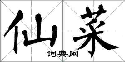翁闿运仙菜楷书怎么写
