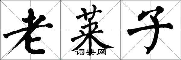 翁闿运老莱子楷书怎么写