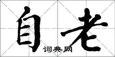 翁闿运自老楷书怎么写