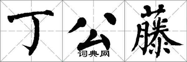 翁闿运丁公藤楷书怎么写