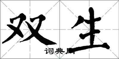 翁闿运双生楷书怎么写