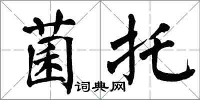 翁闿运菌托楷书怎么写