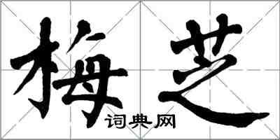 翁闿运梅芝楷书怎么写